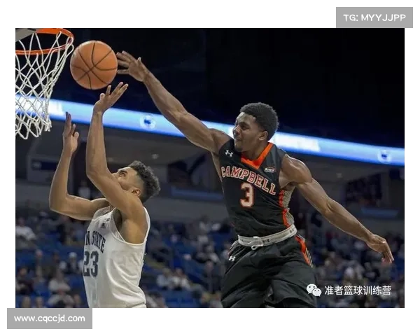 坎贝尔篮球打球位置全面解析与技巧提升指南