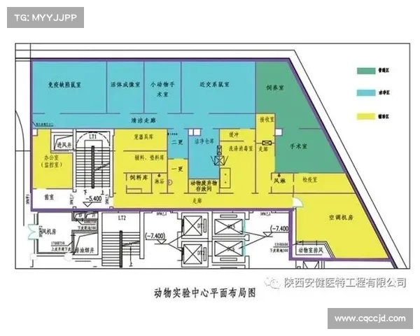 欧协杯决赛全面规则解析及关键注意事项详细指南