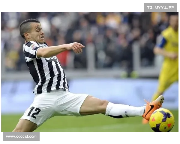 尤文电话门事件对足球界公正性与管理机制的深刻启示与反思