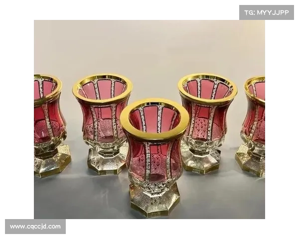 捷克门将的演变史：从传统守护到现代技艺的完美融合