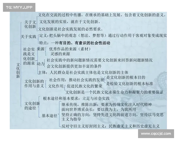斯坦福桥五大组织特点解析:结构、文化、战略、管理与创新的深度剖析